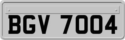 BGV7004