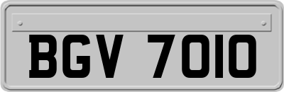 BGV7010