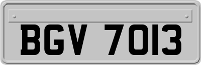 BGV7013