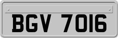BGV7016