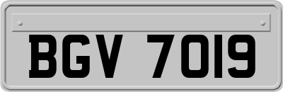 BGV7019