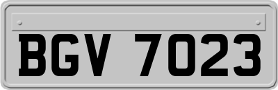 BGV7023