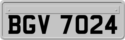 BGV7024