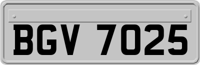 BGV7025