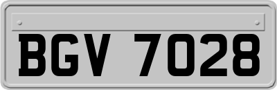 BGV7028