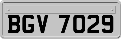 BGV7029