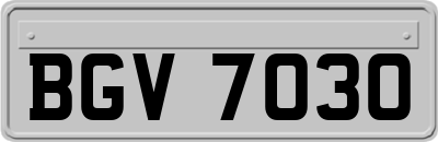 BGV7030