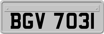 BGV7031