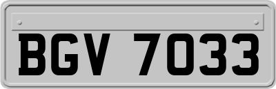BGV7033