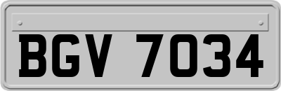 BGV7034