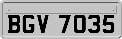 BGV7035