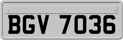 BGV7036