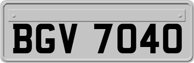 BGV7040