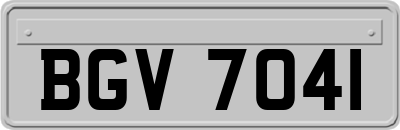 BGV7041