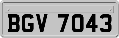 BGV7043