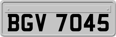 BGV7045