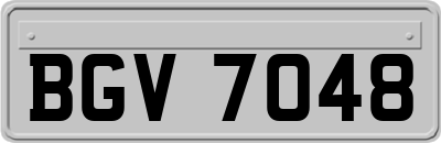 BGV7048