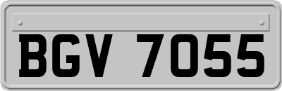 BGV7055