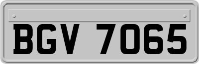 BGV7065