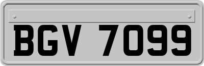 BGV7099