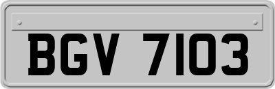 BGV7103