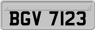 BGV7123