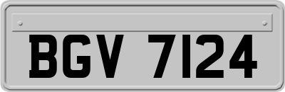 BGV7124