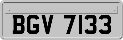 BGV7133