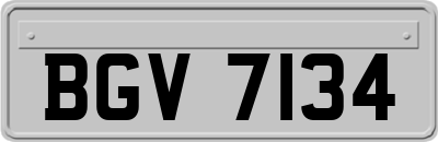 BGV7134