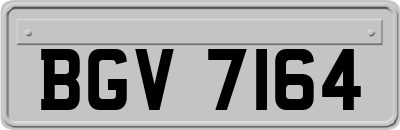 BGV7164