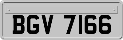 BGV7166