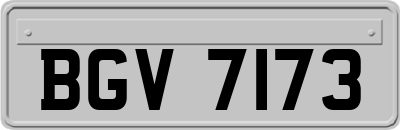 BGV7173