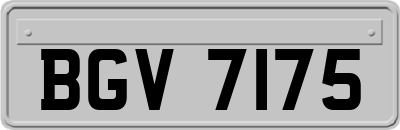 BGV7175