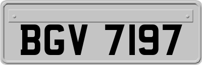 BGV7197