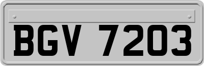 BGV7203
