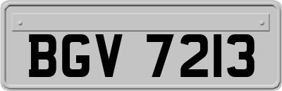 BGV7213
