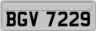 BGV7229