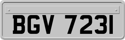 BGV7231