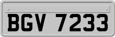 BGV7233