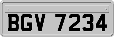 BGV7234