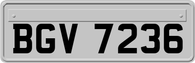 BGV7236