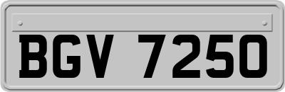 BGV7250