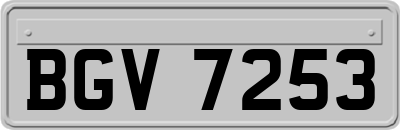 BGV7253
