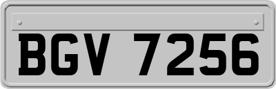 BGV7256