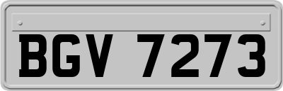 BGV7273