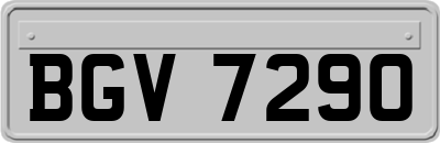 BGV7290