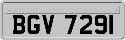 BGV7291