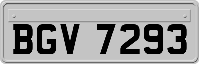 BGV7293