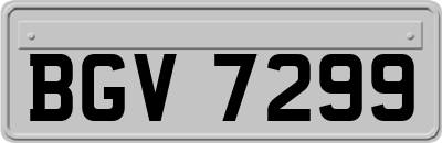 BGV7299