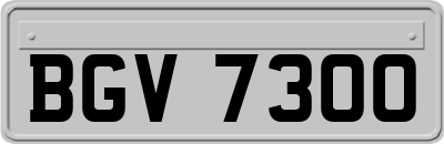BGV7300
